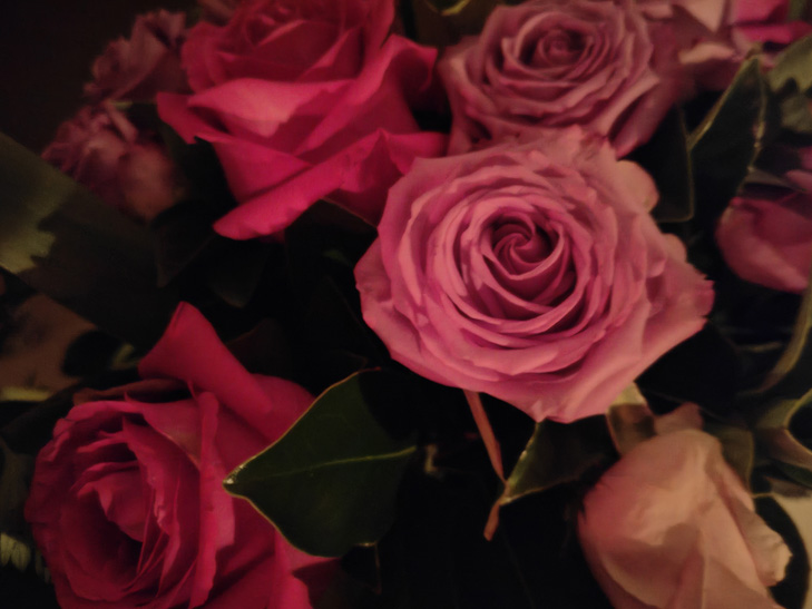 OPPO Find X5 Pro camera sample: flowers OPPO Find X5 Pro camera sample: flowers