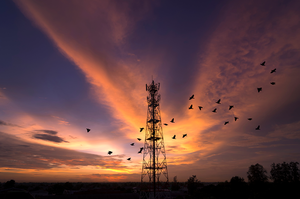 Optus' 4G home wireless plans are down to $59 and have unlimited data (in case you're sick of the NBN)