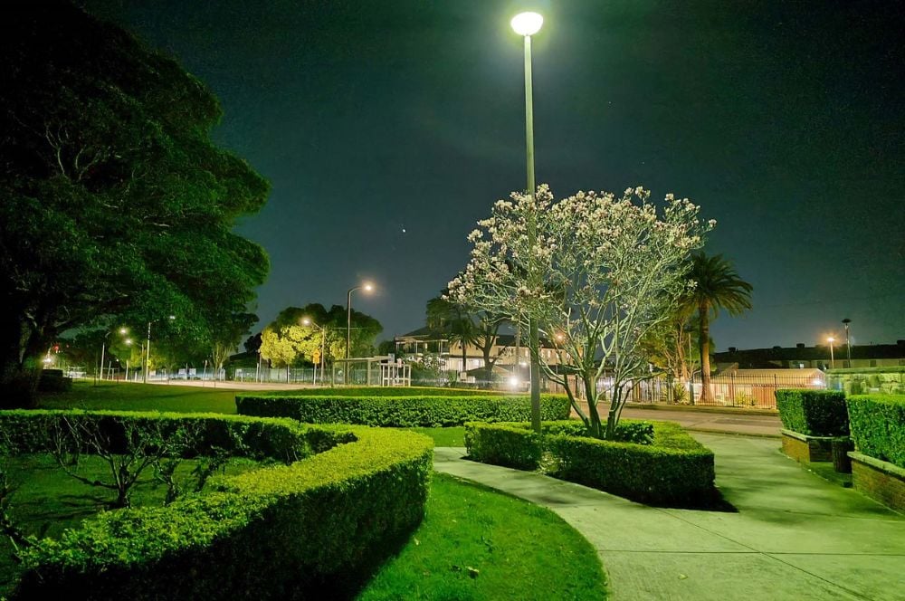 ASUS ROG 7 Ultimate camera sample: public park at night featuring hedges and flowers