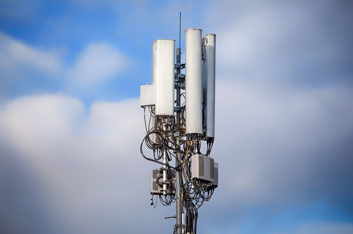 WHO finds no link between phone use and head cancer