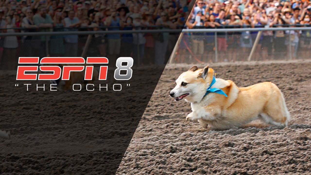 I watched (and ranked) Disney Plus’ weird ESPN sports so you don’t have to