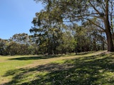 Park shot with 0.5x zoom