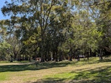 Park shot with the standard main camera