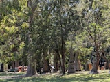 Park shot with the 5x zoom lens
