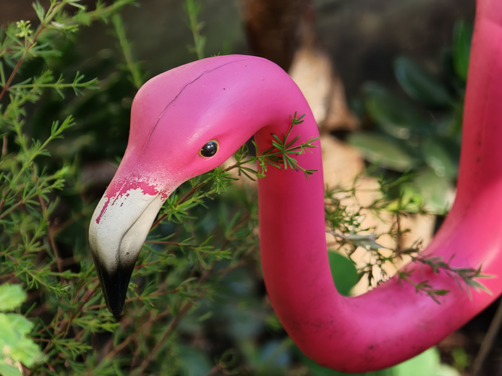 OPPO Find X9 Pro camera sample: Plastic flamingo at 20x OPPO Find X9 Pro camera sample: Plastic flamingo at 20x