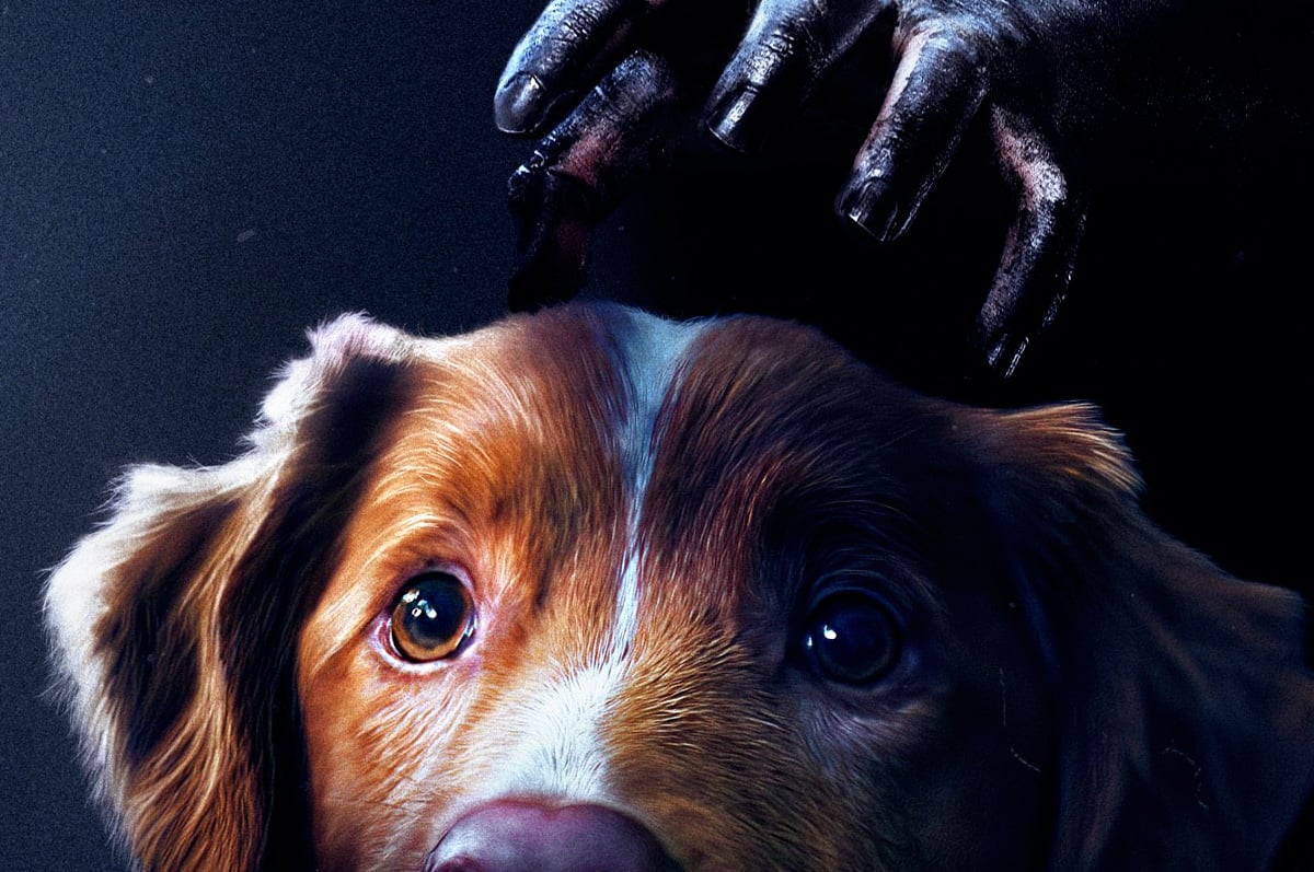 Good Boy (2025) Good Boy (2025)