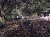 Edge 70 Fusion camera sample: Pitch dark park bench