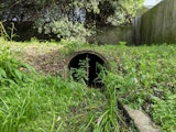 Edge 70 Fusion camera sample: Oversaturated drain