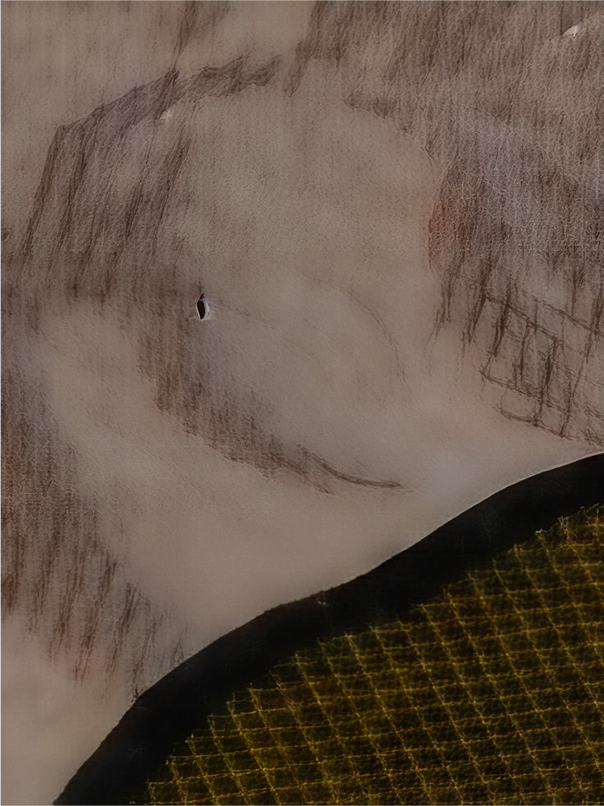 100x zoom