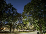 Street at night