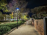 Paved footpath at night