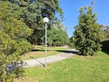 What a nice pathway