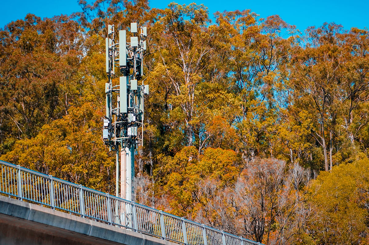 A network tower in front of trees A network tower in front of trees