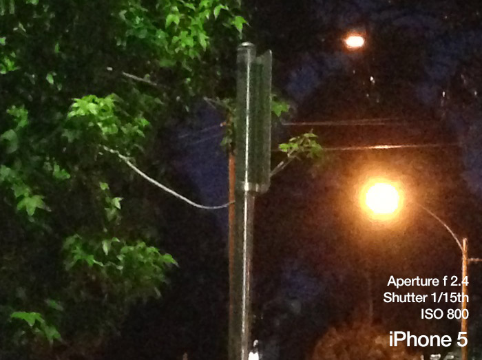 treelight-1-iphone-5-100percent
