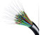 NBN Receives Praise and Competition