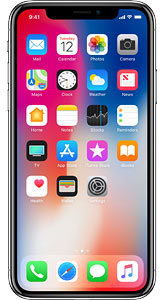 iPhone X 256GB