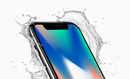 iPhone X 256GB