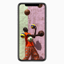 iPhone X 256GB